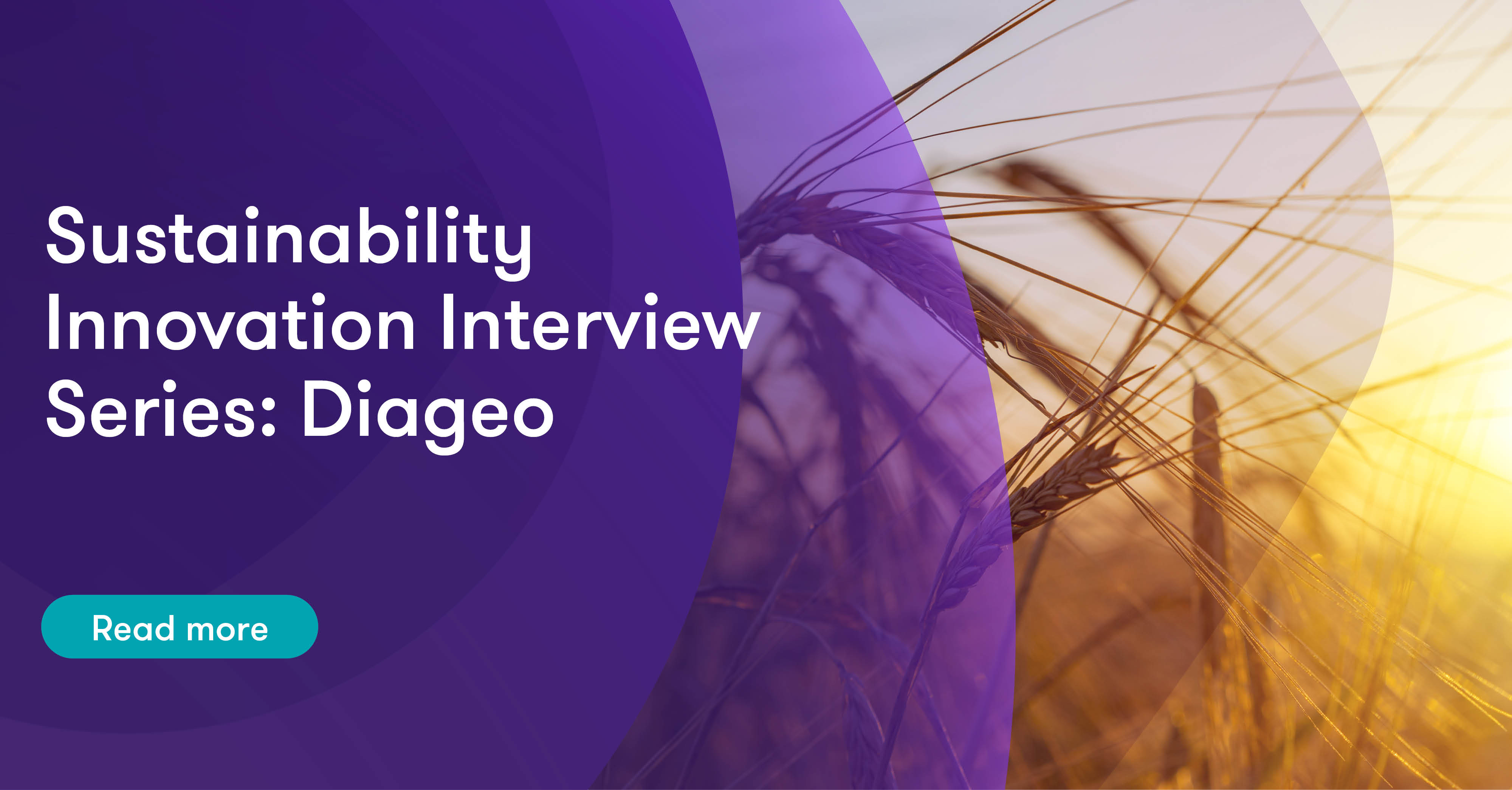 Sustainability Innovation Interview Series: Diageo | Grant Thornton